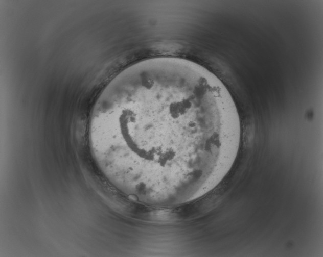 X0000115850365200912242042