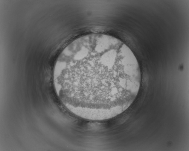 X0000115850367200912242042