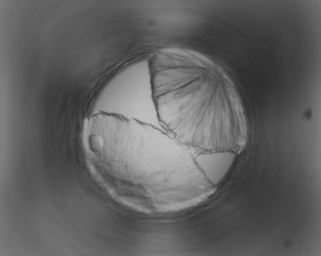 X0000115850369200912242042