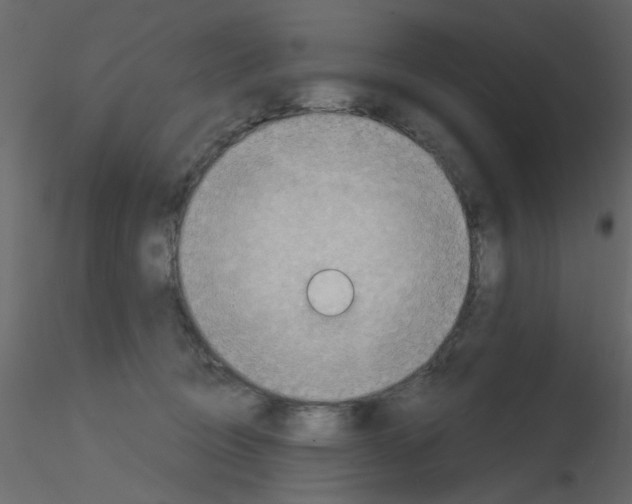 X0000115850370200912242042