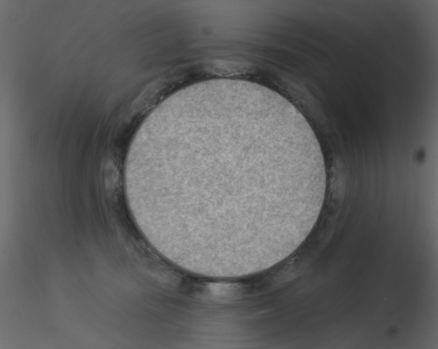 X0000115850371200912242042