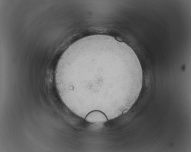 X0000115850374200912242043