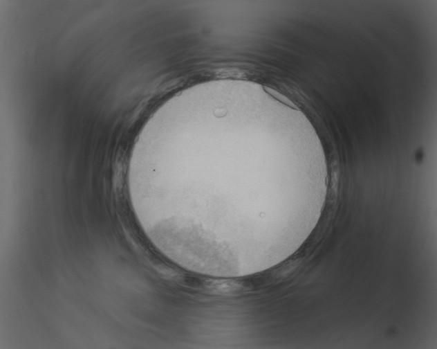 X0000115850379200912242043