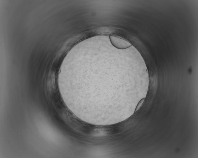 X0000115850381200912242043