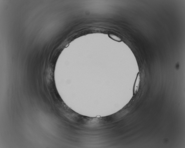 X0000115850382200912242043