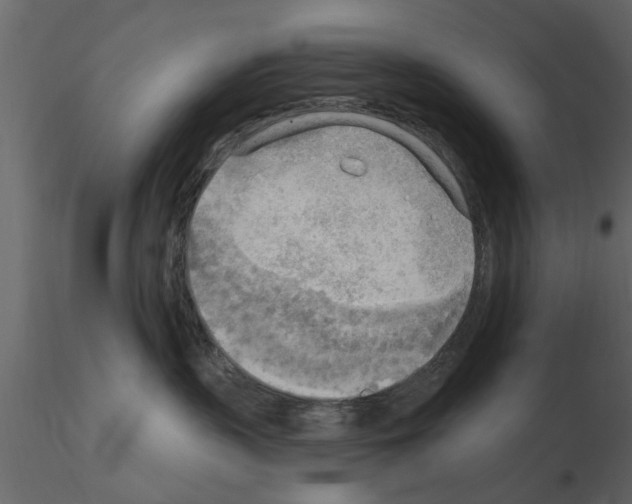X0000115850383200912242043