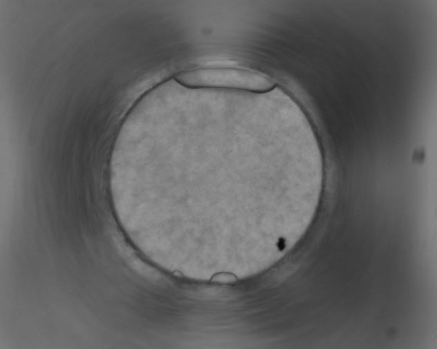 X0000115850385200912242042