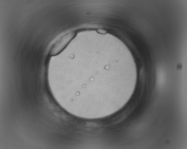 X0000115850388200912242042