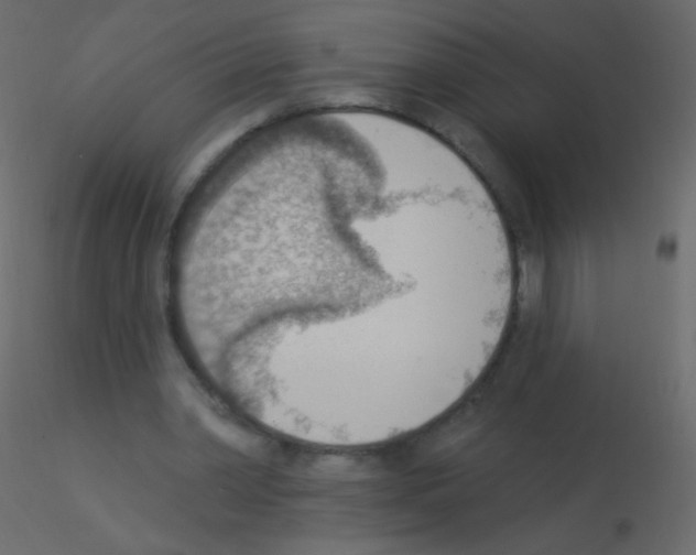 X0000115850390200912242042