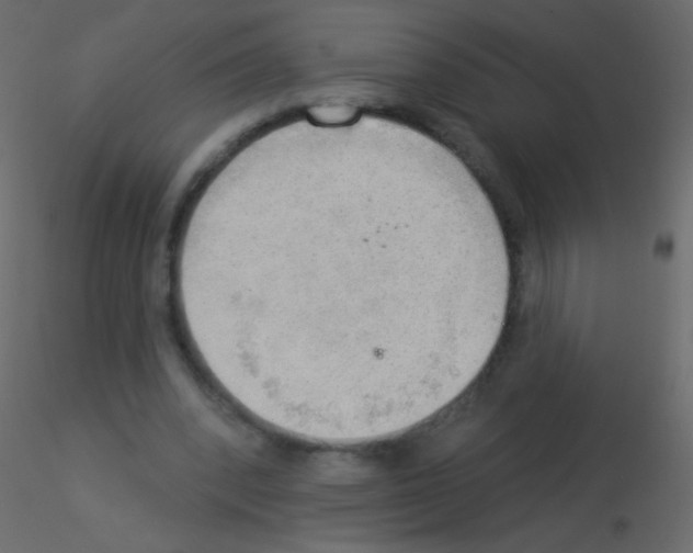 X0000115850392200912242042