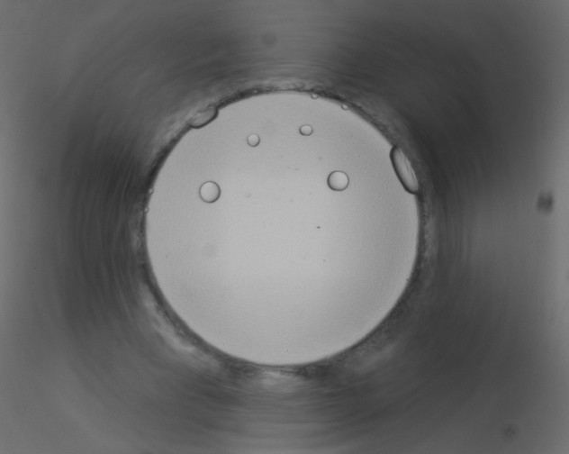 X0000115850393200912242042