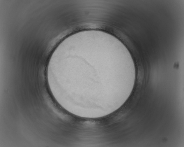 X0000115850394200912242042