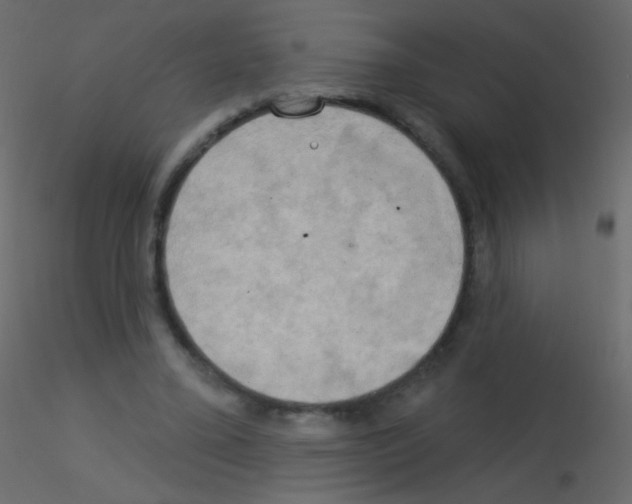 X0000115850395200912242042