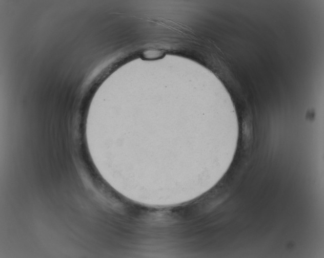 X0000115850396200912242042