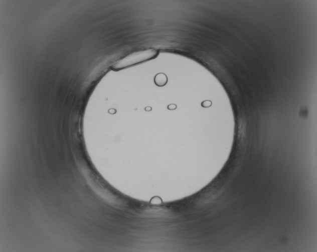 X0000115850397200912242042