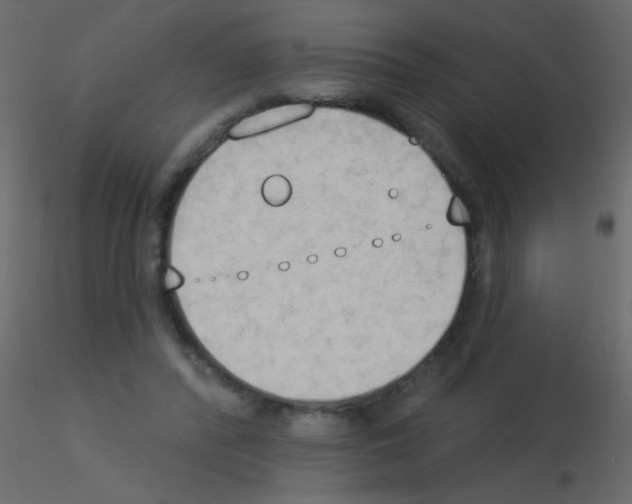 X0000115850400200912242042