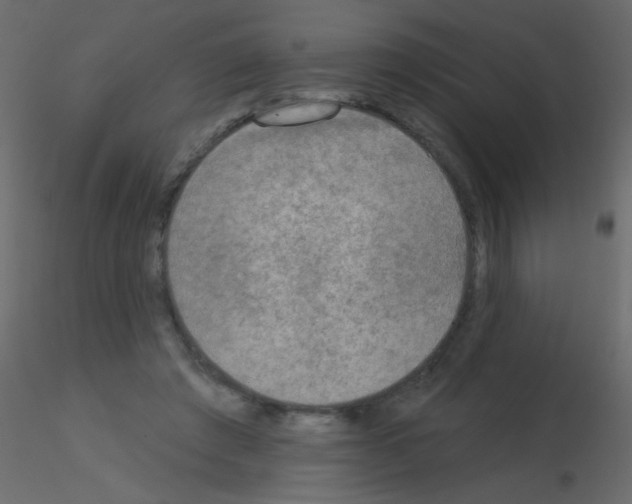 X0000115850401200912242042