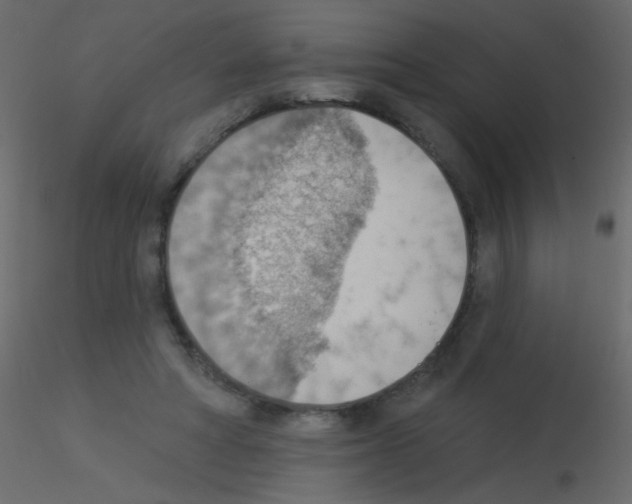 X0000115850402200912242042
