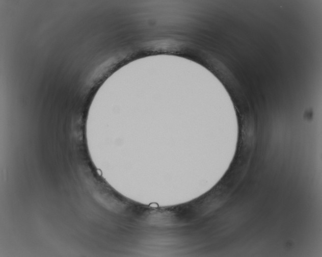 X0000115850403200912242042