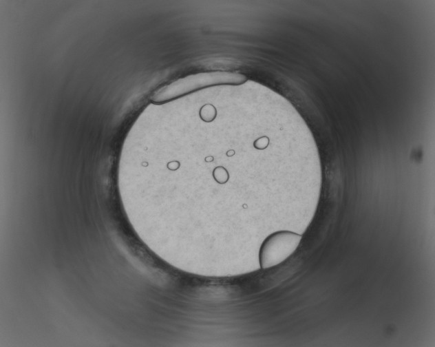 X0000115850404200912242042