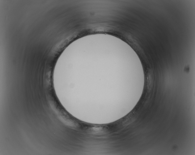 X0000115850406200912242042