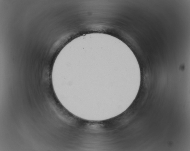 X0000115850407200912242042