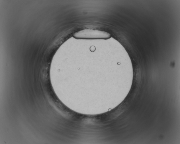 X0000115850408200912242042