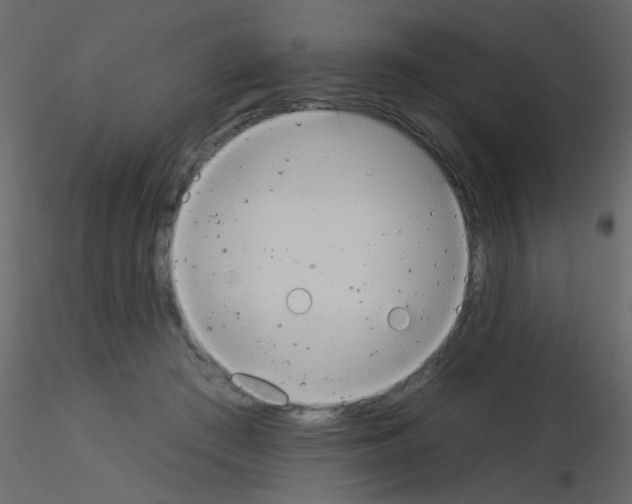 X0000115850409200912242042