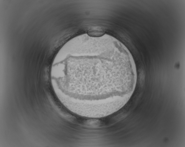 X0000115850410200912242042