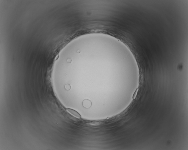 X0000115850411200912242042