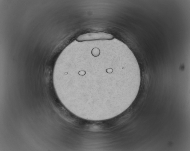 X0000115850412200912242042