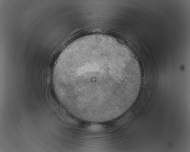 X0000115850413200912242042