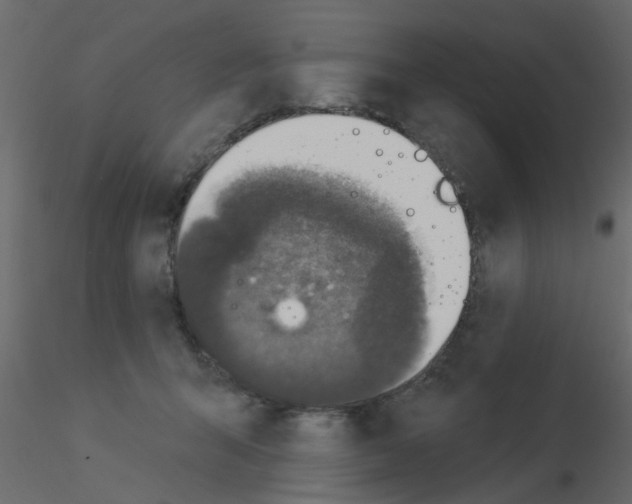 X0000115850415200912242042