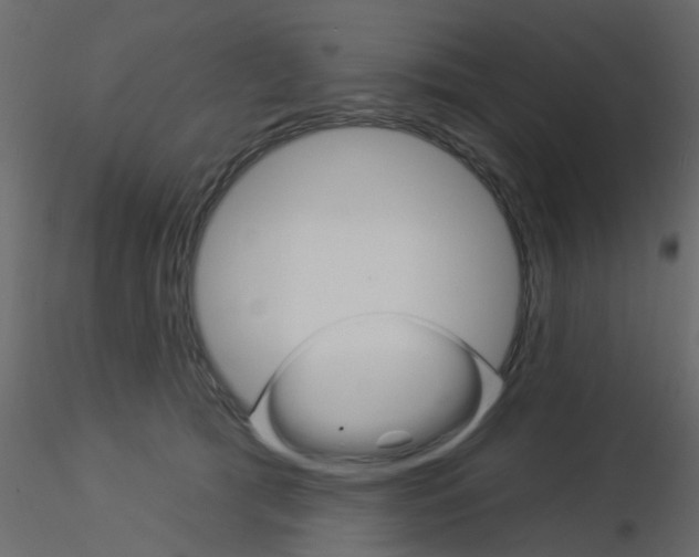 X0000115850417200912242042