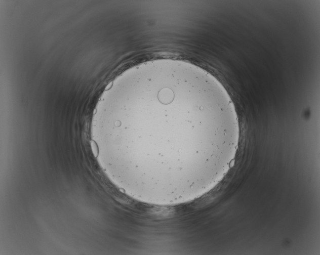 X0000115850421200912242042