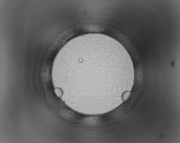 X0000115850422200912242042