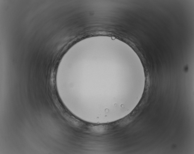 X0000115850423200912242042