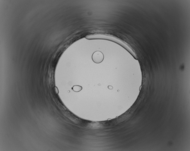 X0000115850425200912242041