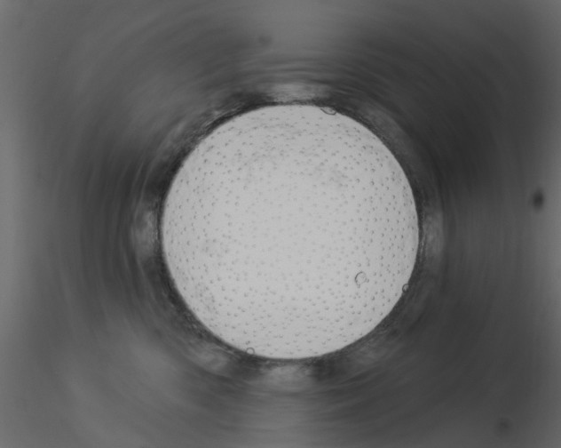 X0000115850426200912242041