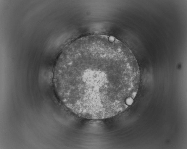 X0000115850427200912242041