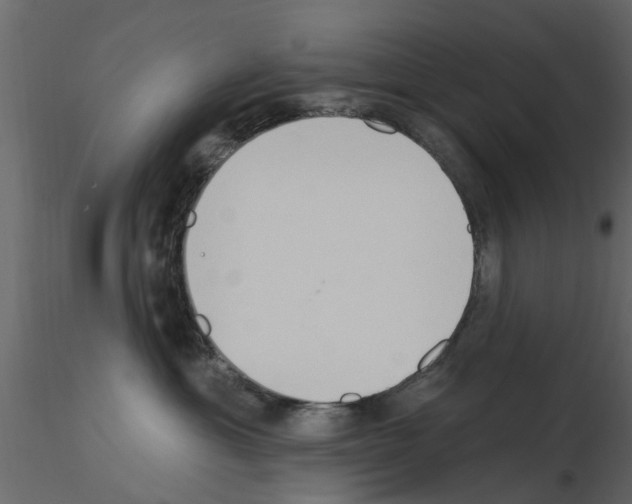 X0000115850429200912242041