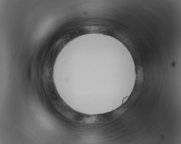 X0000115850430200912242041