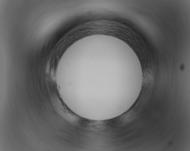 X0000115850431200912242041