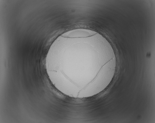 X0000115850432200912242041