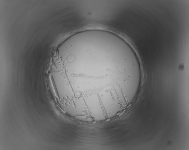 X0000115850433200912242041