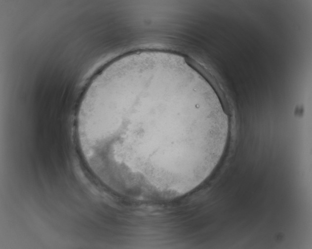 X0000115850434200912242041