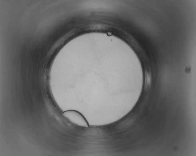 X0000115850435200912242041