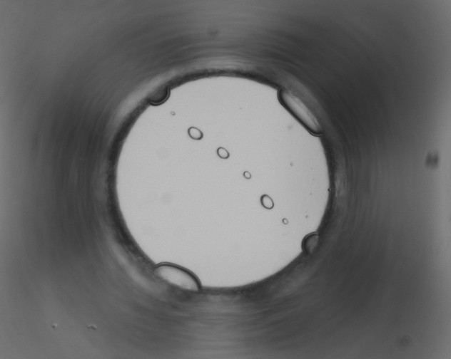 X0000115850436200912242041