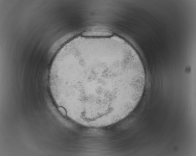 X0000115850437200912242041