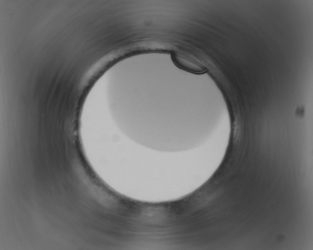 X0000115850438200912242041